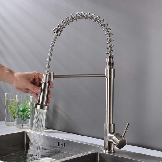 Kitchen Faucet with Pull Down Sprayer